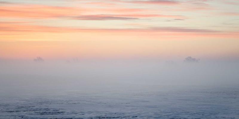 WQ379技术分享：AI如何精准预测网络流量并实现智能调度，打造极致用户体验与网络效率双赢